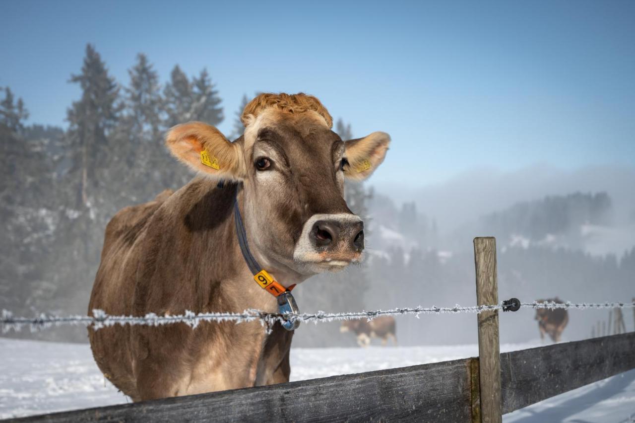 Hartungs Hoteldorf Füssen المظهر الخارجي الصورة