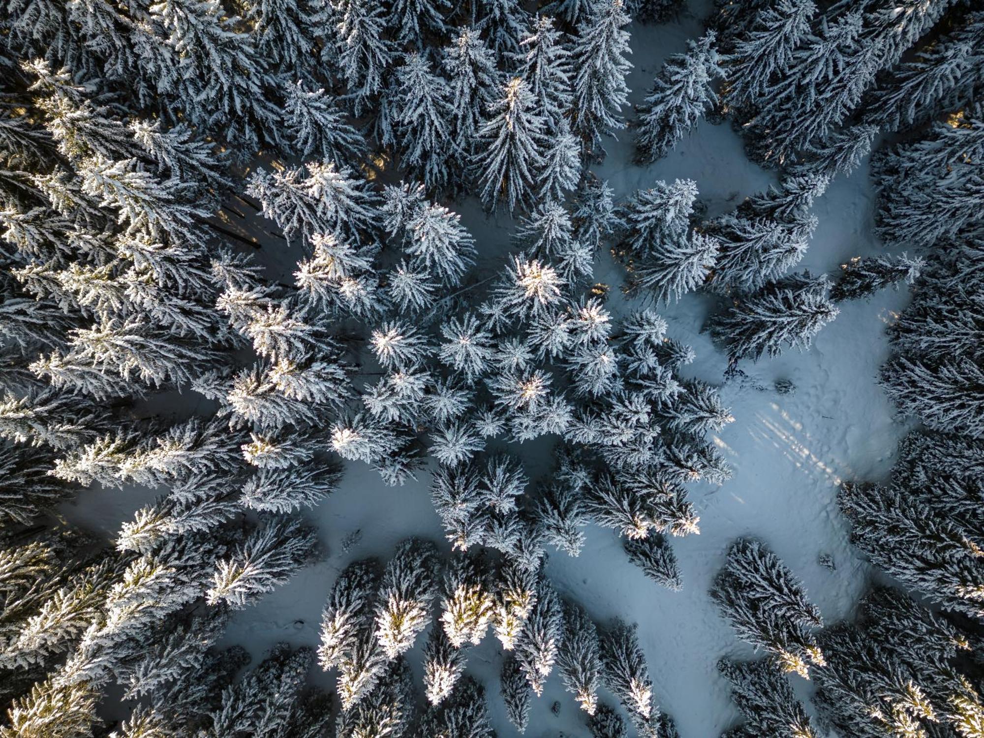 Hartungs Hoteldorf Füssen المظهر الخارجي الصورة