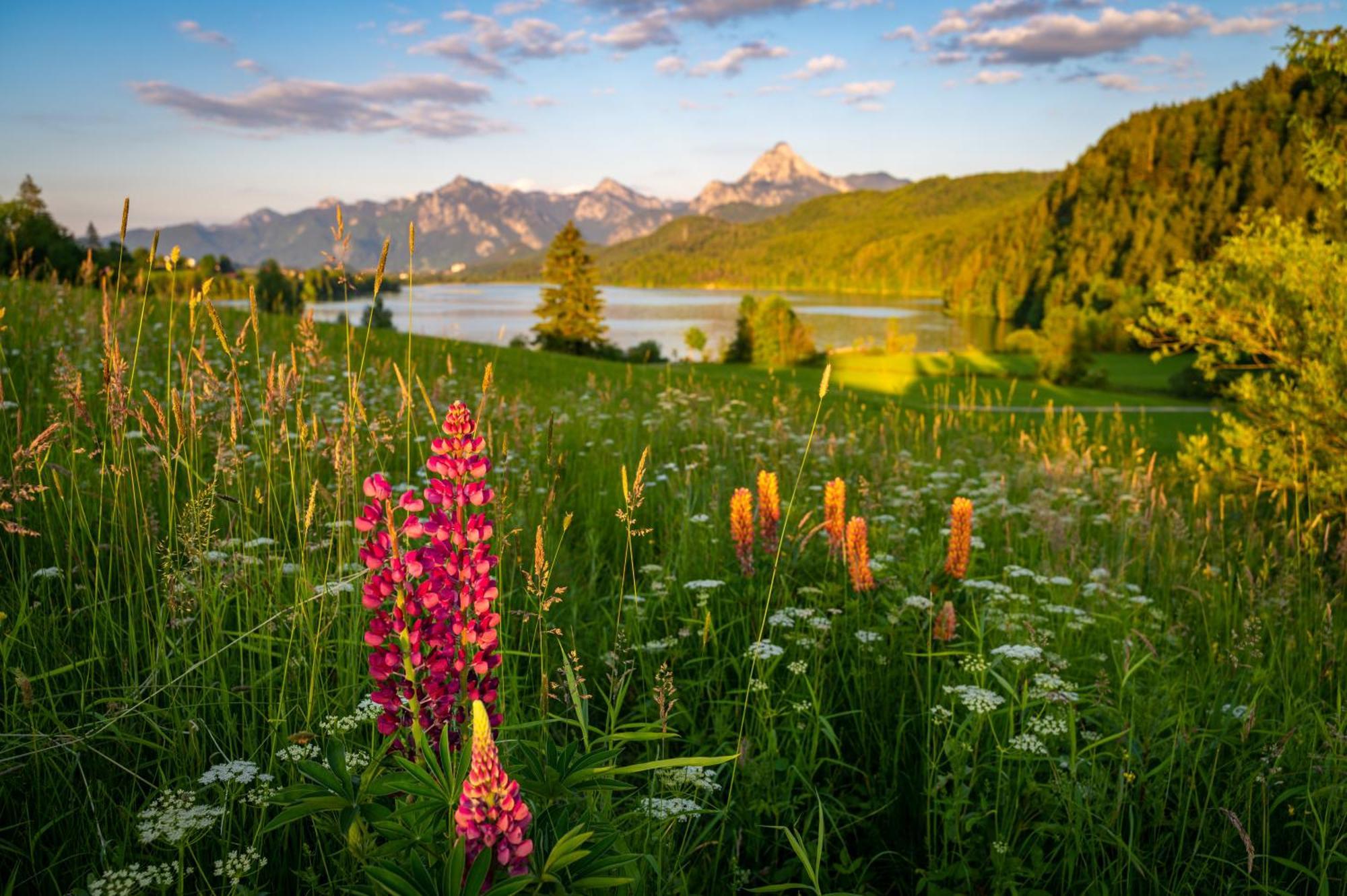 Hartungs Hoteldorf Füssen المظهر الخارجي الصورة