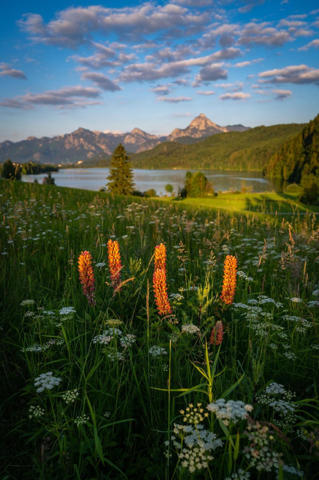 Hartungs Hoteldorf Füssen المظهر الخارجي الصورة